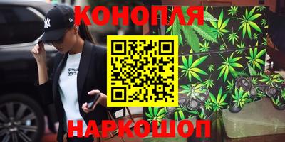 сатива Кунгур