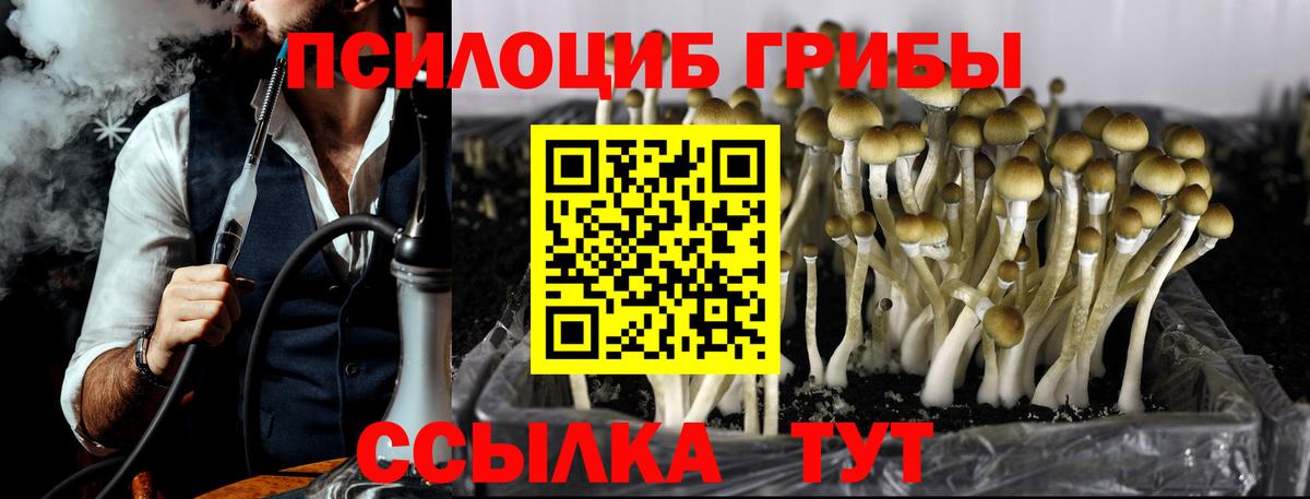Галлюциногенные грибы Cubensis  Галлюциногенные грибы Psilocybe  Йошкар-Ола  Вход с VPN 